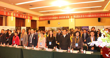 “立海杯”2018中国国家队VS“一带一路”世界联队国际象棋对抗赛隆重开幕